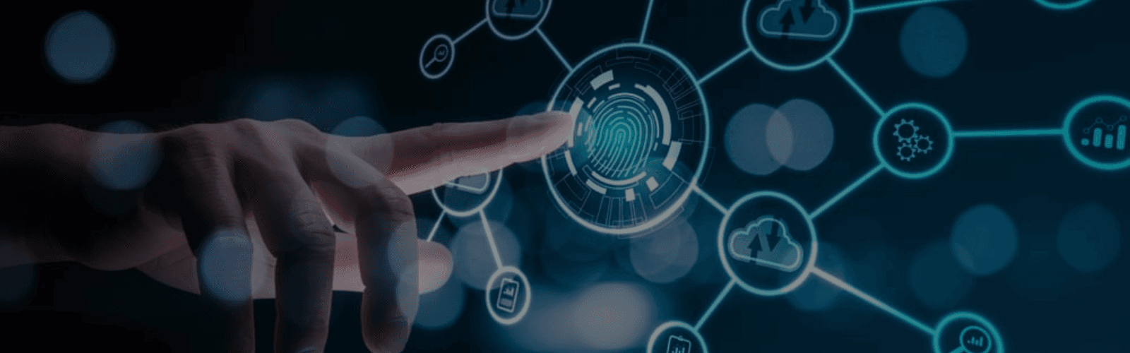 Digital Transformation Strategies That Deliver Value