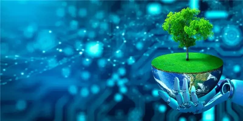 Green IT Initiative: CIOs Driving Cloud Sustainability